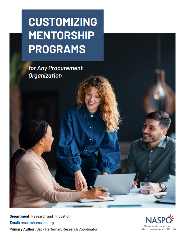 Customizing Mentorship Programs
